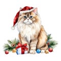 Persian Christmas watercolor Cat Christmas watercolor